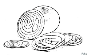 oignon Coloriages À Imprimer